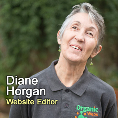 Diane Website Editor
